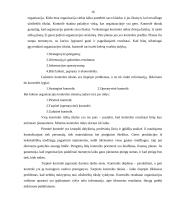 Įmonės organizacinės valdymo struktūros ir administracijos darbo pasidalijimo analizė: IĮ "Lucus" 16 puslapis