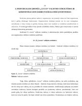 Įmonės organizacinės valdymo struktūros ir administracijos darbo pasidalijimo analizė: IĮ "Lucus" 20 puslapis