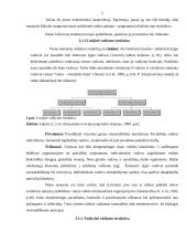 Įmonės organizacinės valdymo struktūros ir administracijos darbo pasidalijimo analizė: IĮ "Lucus" 5 puslapis
