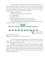 Įmonės organizacinės valdymo struktūros ir administracijos darbo pasidalijimo analizė: IĮ "Lucus" 6 puslapis