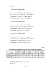 Įmonės planuojamos gaminti produkcijos pelningumo prognozė: UAB "Metalo dirbiniai" 13 puslapis