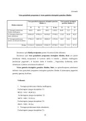 Įmonės planuojamos gaminti produkcijos pelningumo prognozė: UAB "Metalo dirbiniai" 20 puslapis