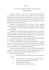 Įmonės planuojamos gaminti produkcijos pelningumo prognozė: UAB "Metalo dirbiniai" 4 puslapis