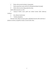 Įmonės planuojamos gaminti produkcijos pelningumo prognozė: UAB "Metalo dirbiniai" 5 puslapis