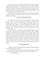 Įmonės rinkodaros planas: gėlių salonas IĮ Petreikių 11 puslapis