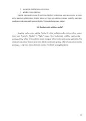 Įmonės rinkodaros planas: gėlių salonas IĮ Petreikių 12 puslapis