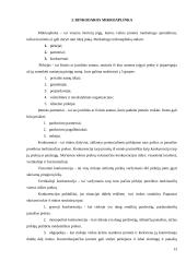 Įmonės rinkodaros planas: gėlių salonas IĮ Petreikių 13 puslapis