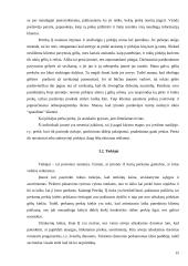 Įmonės rinkodaros planas: gėlių salonas IĮ Petreikių 15 puslapis