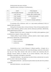 Įmonės rinkodaros planas: gėlių salonas IĮ Petreikių 16 puslapis