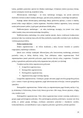 Įmonės rinkodaros planas: gėlių salonas IĮ Petreikių 20 puslapis