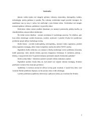 Įmonės rinkodaros planas: gėlių salonas IĮ Petreikių 3 puslapis