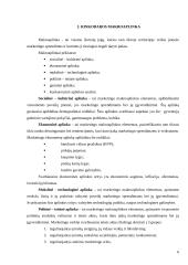 Įmonės rinkodaros planas: gėlių salonas IĮ Petreikių 6 puslapis