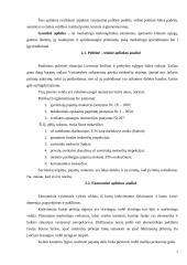 Įmonės rinkodaros planas: gėlių salonas IĮ Petreikių 7 puslapis