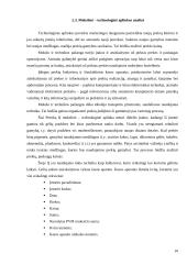 Įmonės rinkodaros planas: gėlių salonas IĮ Petreikių 10 puslapis