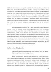 Įmonės strategijos analizė: UAB "Martonas" 14 puslapis