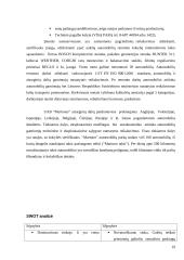 Įmonės strategijos analizė: UAB "Martonas" 19 puslapis