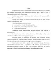 Įmonės strategijos analizė: UAB "Martonas" 3 puslapis