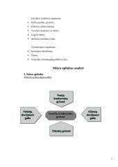 Įmonės strategijos analizė: UAB "Martonas" 5 puslapis