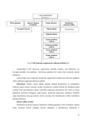 Įmonės valdymo metodų analizė: UAB "Samsonas" 16 puslapis