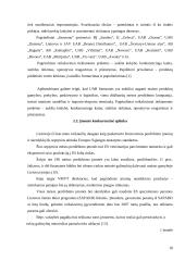 Įmonės valdymo metodų analizė: UAB "Samsonas" 18 puslapis