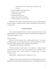 Įmonės valdymo metodų analizė: UAB "Samsonas" 6 puslapis