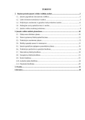 Įmonės veiklos taktinis planavimas ir bazinių rodiklių analizė 2 puslapis