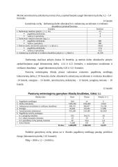 Įmonės veiklos taktinis planavimas ir bazinių rodiklių analizė 13 puslapis