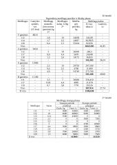 Įmonės veiklos taktinis planavimas ir bazinių rodiklių analizė 19 puslapis