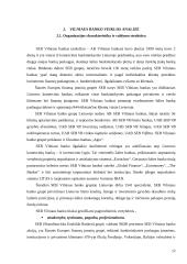 Įmonės veiklos vertinimas: "Vilniaus bankas" 12 puslapis
