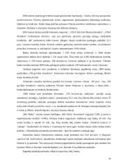 Įmonės veiklos vertinimas: "Vilniaus bankas" 20 puslapis