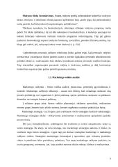 Įmonės veiklos vertinimas: "Vilniaus bankas" 9 puslapis