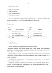 Įmonės vietos analizė ir jos įvertinimas: UAB "Interadis" 11 puslapis