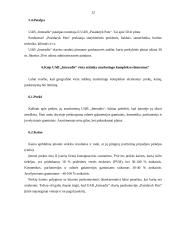 Įmonės vietos analizė ir jos įvertinimas: UAB "Interadis" 12 puslapis