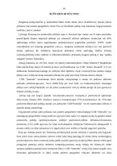 Įmonės vietos analizė ir jos įvertinimas: UAB "Interadis" 14 puslapis