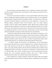 Infliacija ir jos kitimą lemiantys priežastys 2 puslapis