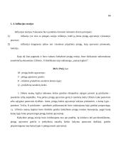 Infliacija ir jos kitimą lemiantys priežastys 17 puslapis