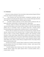 Infliacija ir jos kitimą lemiantys priežastys 18 puslapis