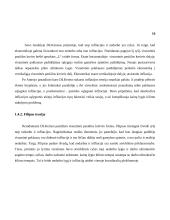 Infliacija ir jos kitimą lemiantys priežastys 19 puslapis
