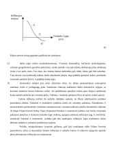 Infliacija ir jos kitimą lemiantys priežastys 20 puslapis
