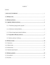 Infliacija ir jos kitimą lemiantys priežastys 3 puslapis