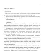 Infliacija ir jos kitimą lemiantys priežastys 5 puslapis