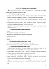 Inovacijų valdymas tarptautinėje rinkoje 12 puslapis