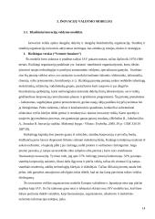 Inovacijų valdymas tarptautinėje rinkoje 14 puslapis