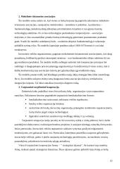 Inovacijų valdymas tarptautinėje rinkoje 15 puslapis