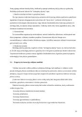 Inovacijų valdymas tarptautinėje rinkoje 16 puslapis