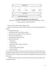 Inovacijų valdymas tarptautinėje rinkoje 17 puslapis