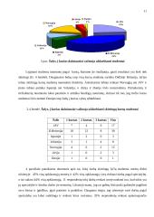 Jaunimo migracijos į užsienį priežastys 11 puslapis