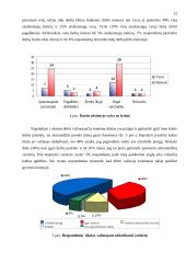 Jaunimo migracijos į užsienį priežastys 12 puslapis