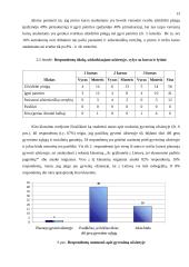 Jaunimo migracijos į užsienį priežastys 13 puslapis