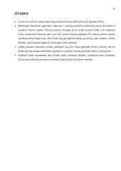 Jaunimo migracijos į užsienį priežastys 19 puslapis